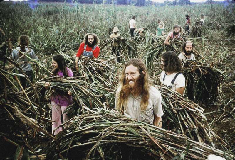 hippies at the farm