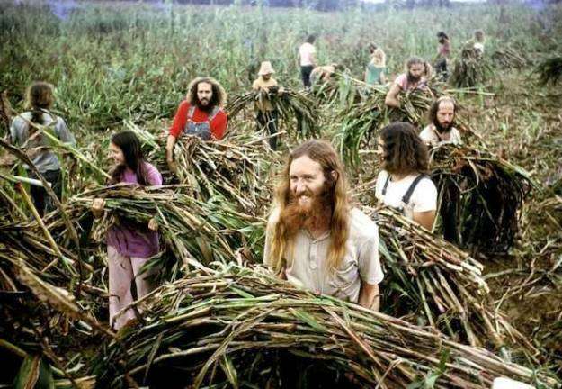 It Took 50 Years, But 'The Farm' Commune's Hippie Ideals Are Finally Mainstream