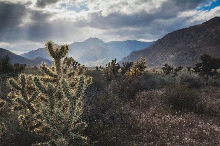 california nature preserve