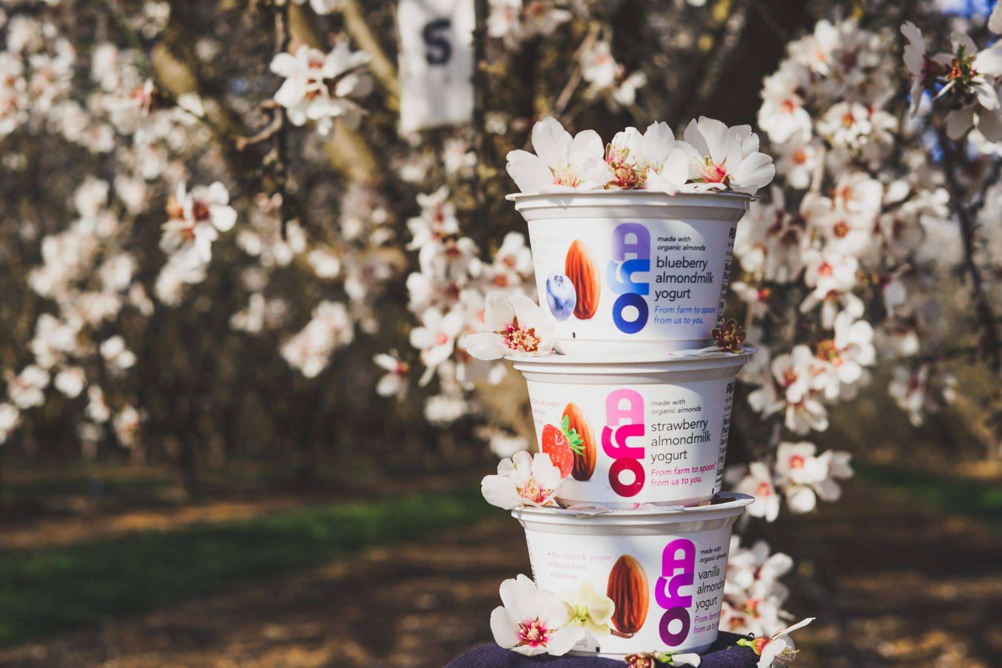 ayo yogurt founder matt billings