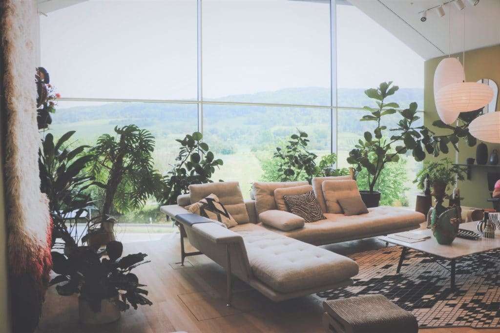 Sustainable home decor houseplants