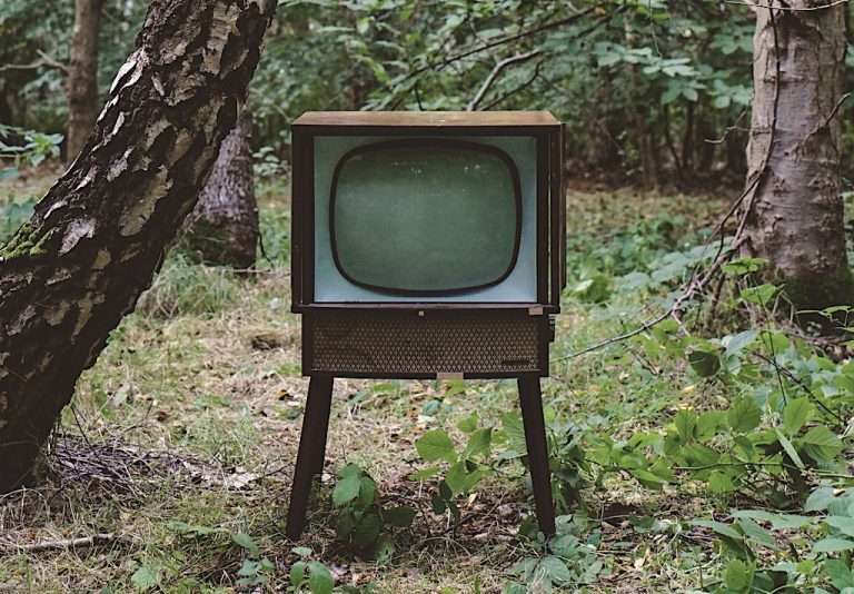 a tv in the forest