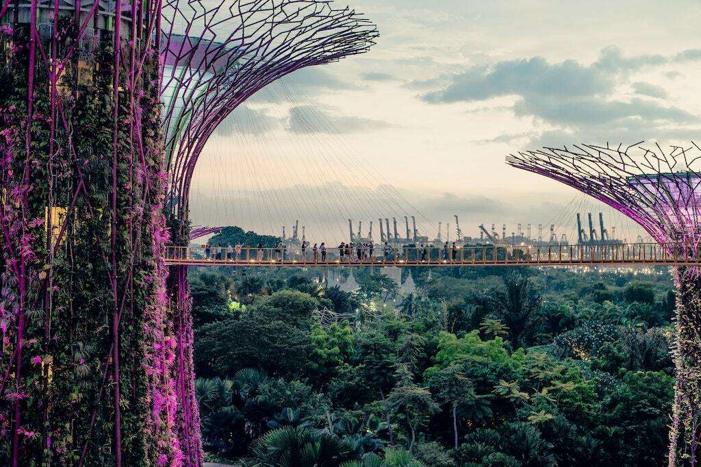 Singapore's solar-powered Supertrees