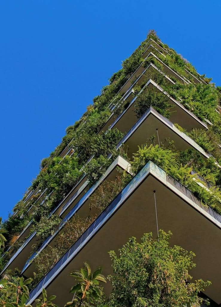 A green terraced building