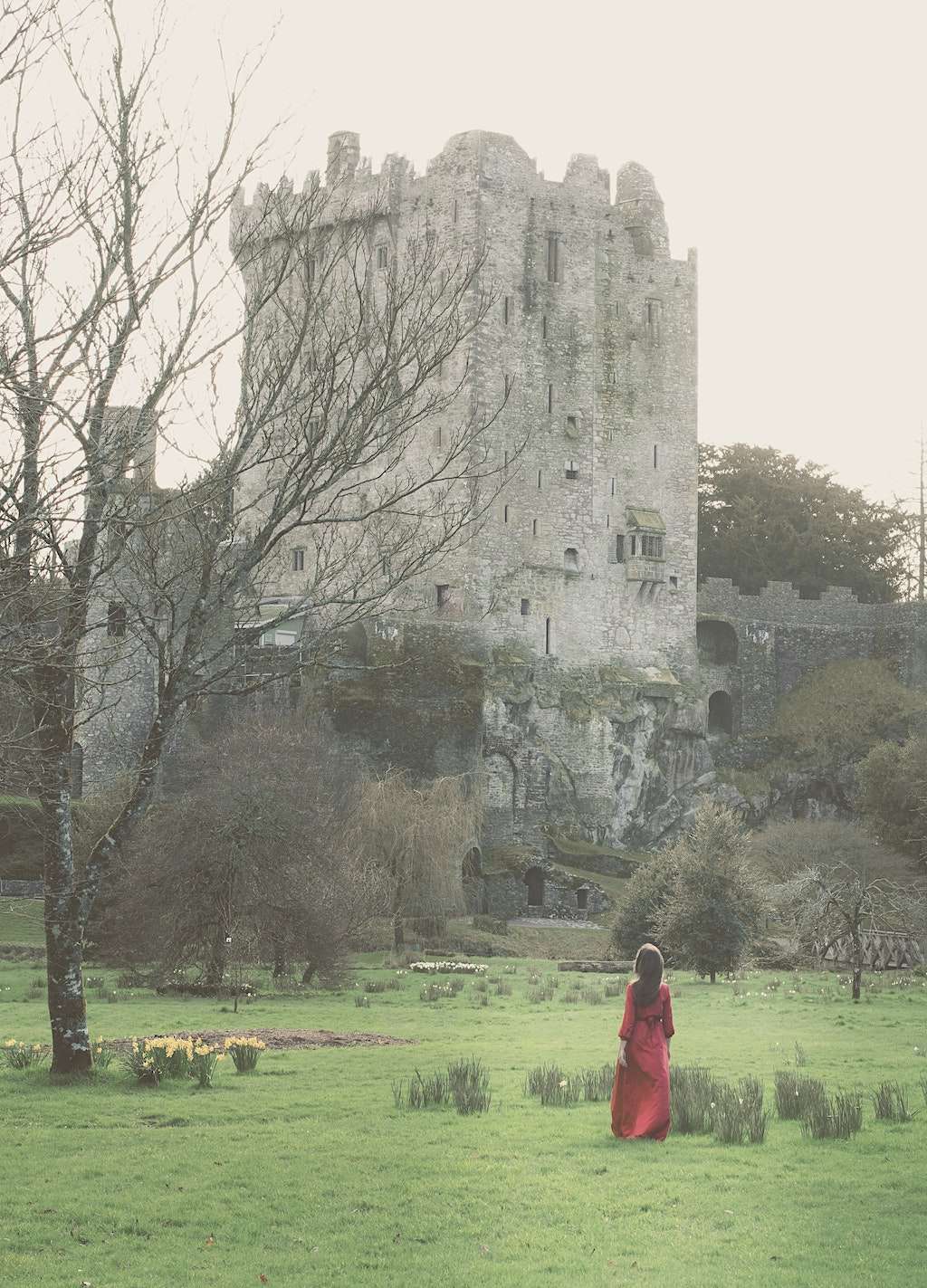 Blarney Castle in Cork