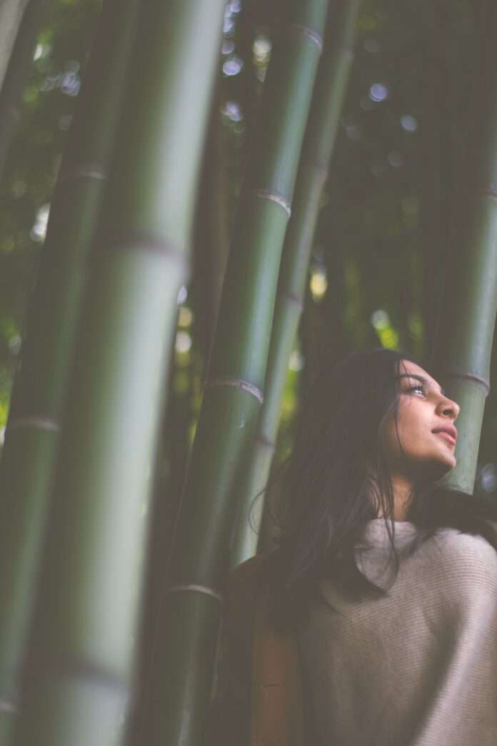 a woman stands in a bamboo forest