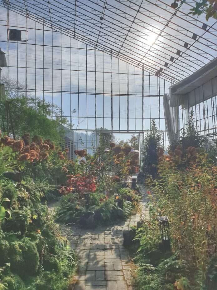 an urban greenhouse
