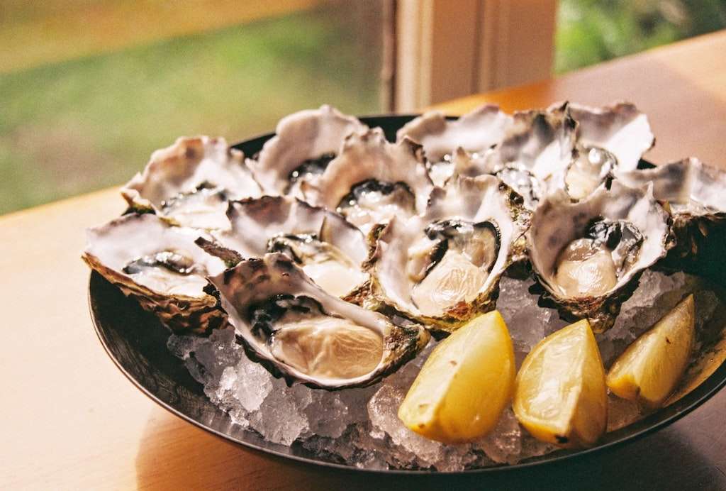 oysters on plate