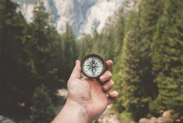 compass in woods