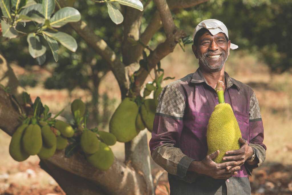 jackfruit farmer