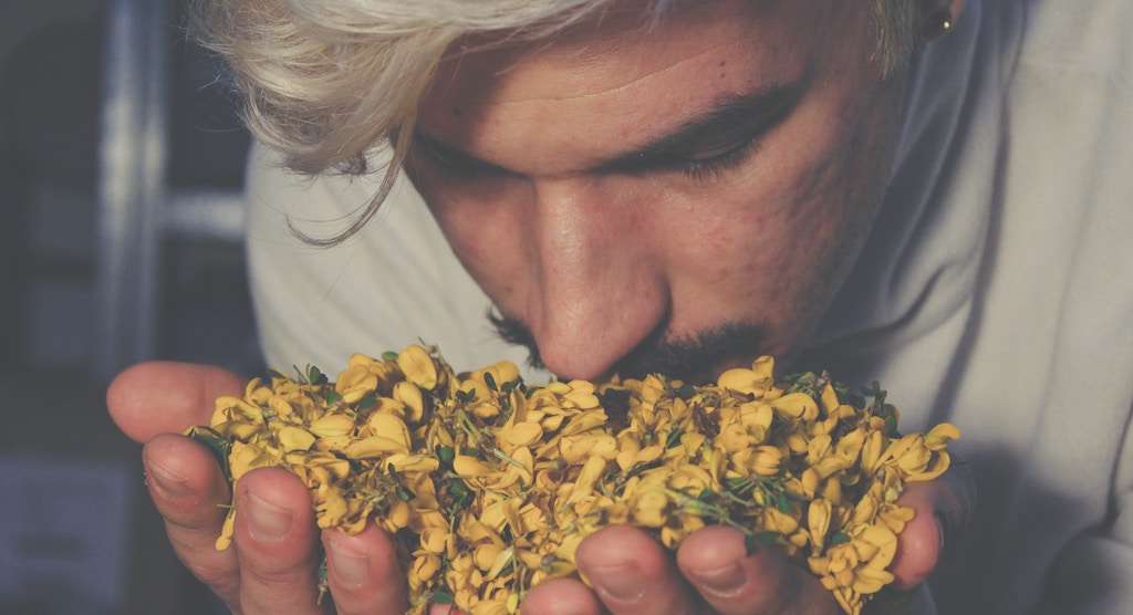 a man smells yellow flowers