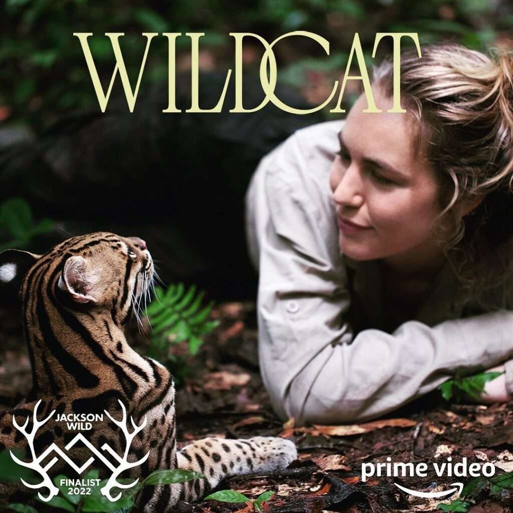Zwicker Wildcat