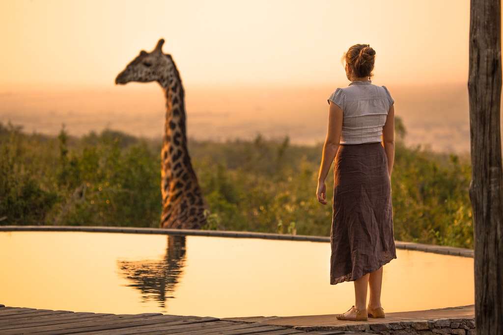 a woman stares at a giraffe 