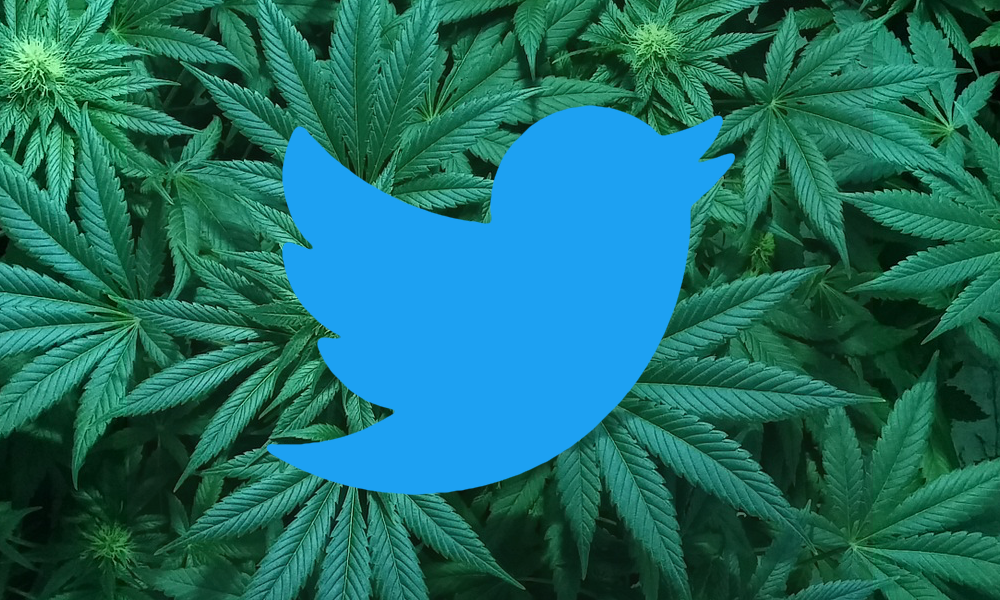 twitter logo on cannabis leaf
