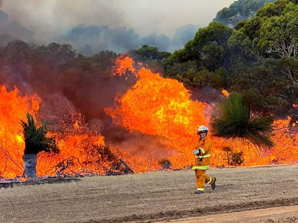 Australian bushfires 2019-2020 