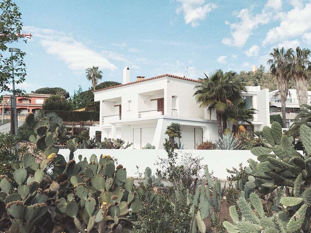 house with cactus garden
