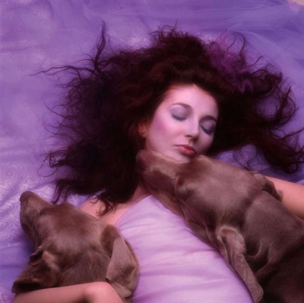 Kate Bush's 'Hounds of Love' album cover.