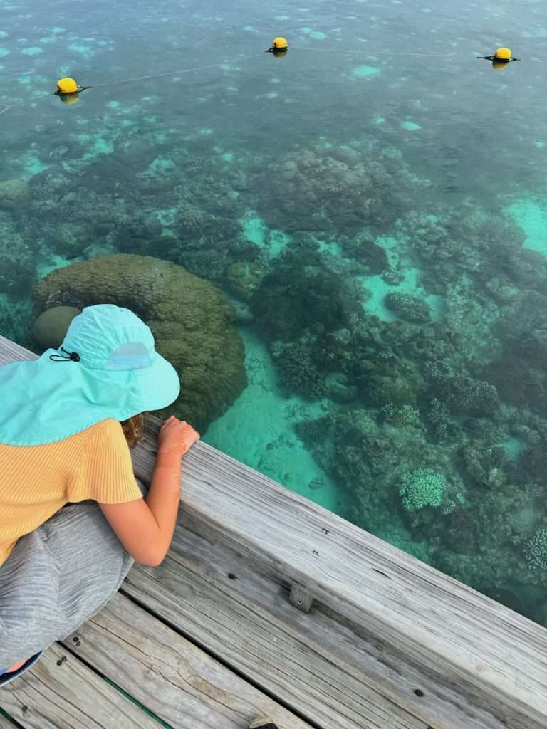 Looking at the reef.